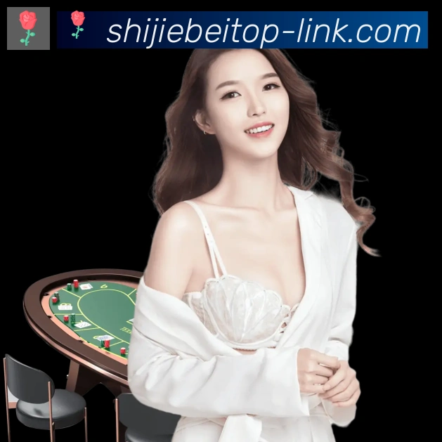 奖项证书